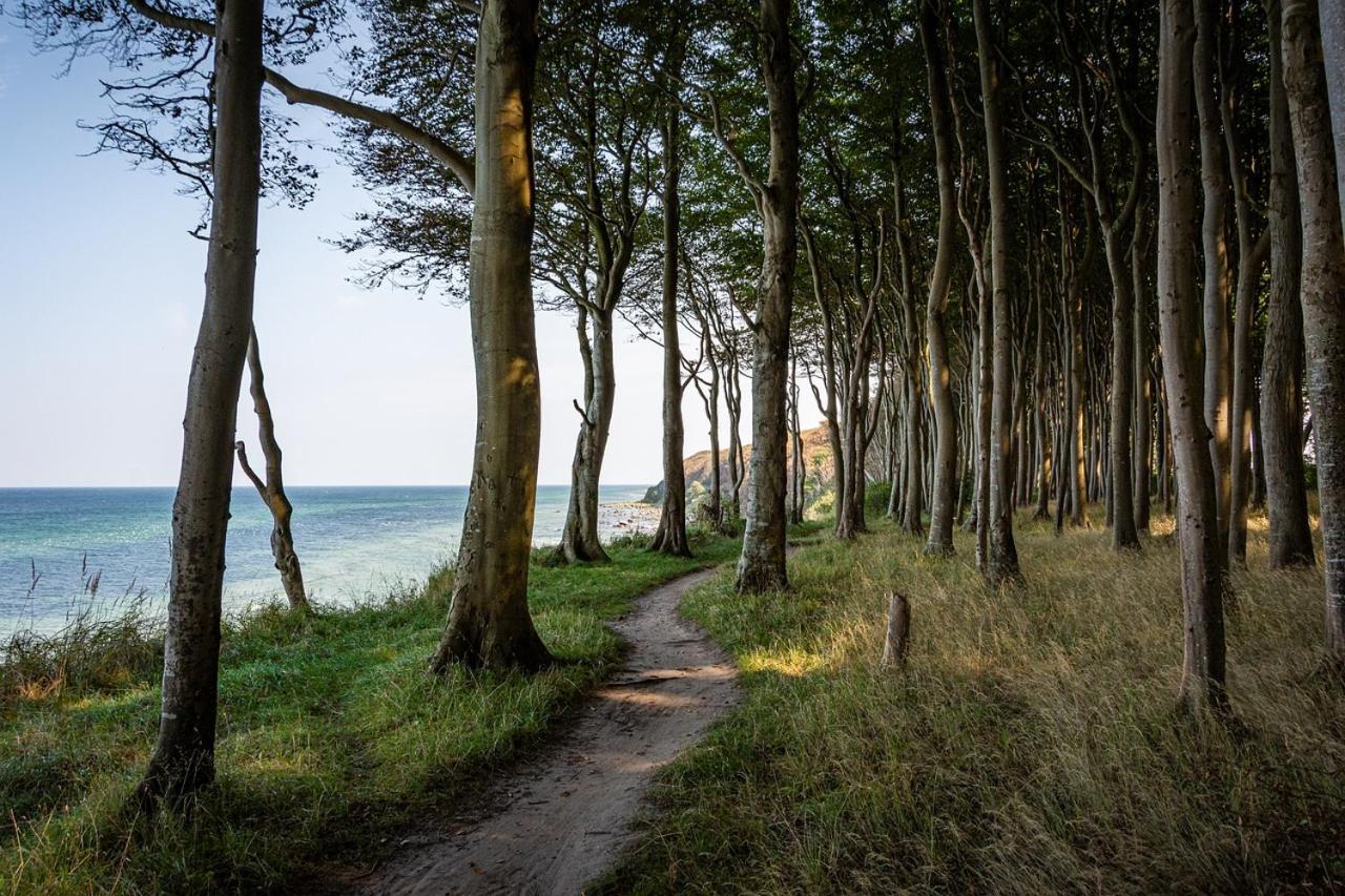 Gemuetliche Ferienresidenz Mit Meerblick Ueber Die Wundervolle Luebecker Bucht Тимендорфер Странд Екстериор снимка